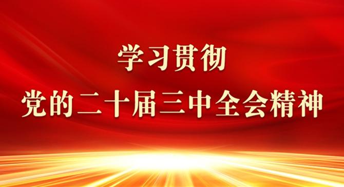 【專欄】學習貫徹黨的二十屆三中全會精神